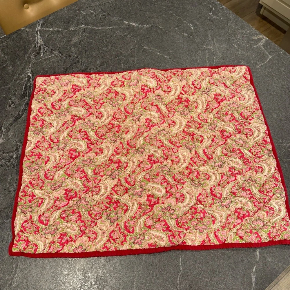 Pottery Barn Georgia paisley pillow standard shams red pink pair set